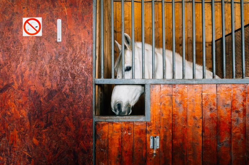 Stable Fencing Installation