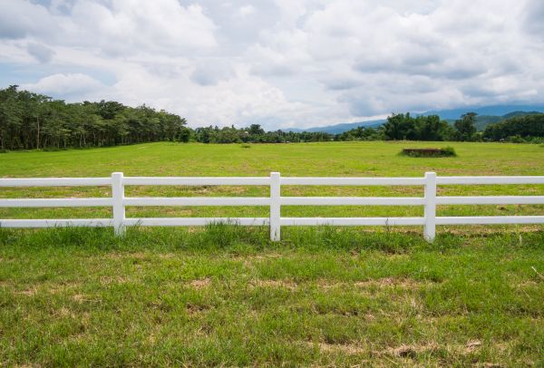 Rail Fence Reconstruction
